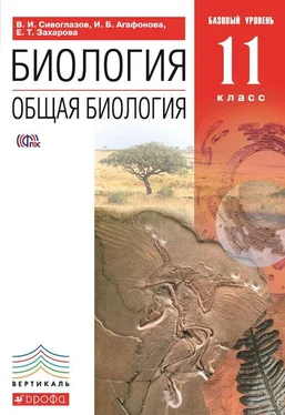 Екатерина Захарова Биология. Общая биология. 11 класс. Базовый уровень обложка книги