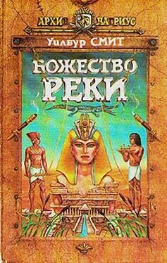Уилбур Смит Божество реки обложка книги