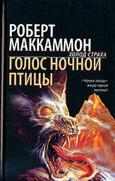 Роберт Маккаммон Голос ночной птицы обложка книги
