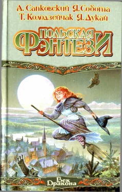 Анджей Сапковский Польская фэнтези (сборник) обложка книги