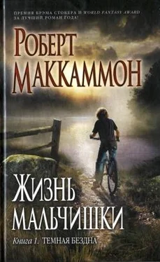 Роберт Маккаммон Жизнь мальчишки. Книга 1. Темная бездна обложка книги