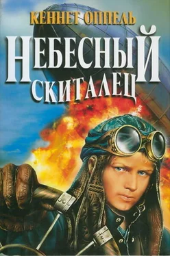 Кеннет Оппель Небесный скиталец обложка книги