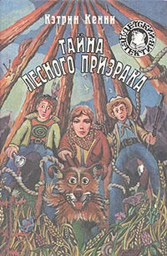 Кэтрин Кенни Тайна лесного призрака обложка книги