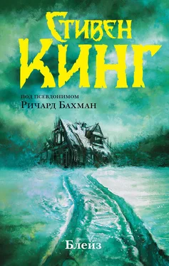Стивен Кинг Блейз [litres] обложка книги