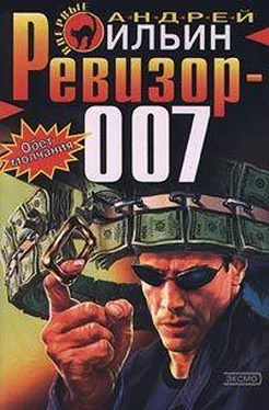 Андрей Ильин Ревизор 007 обложка книги