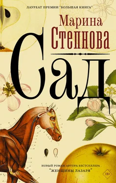 Марина Степнова Сад [litres] обложка книги