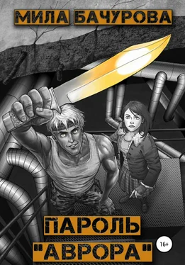Мила Бачурова Пароль «Аврора» [СИ litres] обложка книги