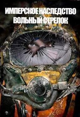 Константин Федоров Вольный стрелок [СИ] обложка книги