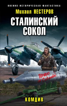 Михаил Нестеров Комдив [litres] обложка книги