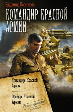 Владимир Поселягин Командир Красной Армии: Командир Красной Армии. Офицер Красной Армии [сборник litres] обложка книги