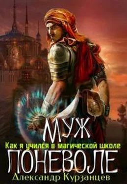 Александр Курзанцев Муж поневоле [СИ] обложка книги