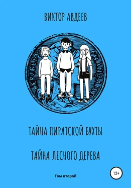 Виктор Авдеев Тайна пиратской бухты Тайна лесного дерева обложка книги