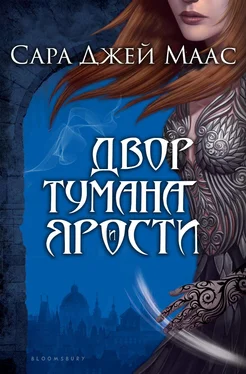 Сара Маас Двор Тумана и Ярости обложка книги