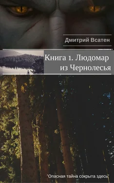 Дмитрий Всатен Книга 1. Людомар из Чернолесья обложка книги