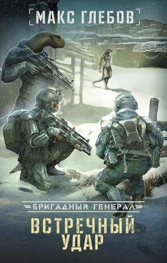 Макс Глебов Встречный удар обложка книги