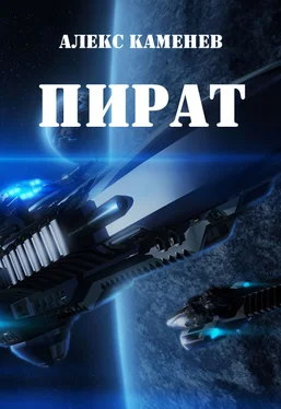 Алекс Каменев Пират (СИ) обложка книги